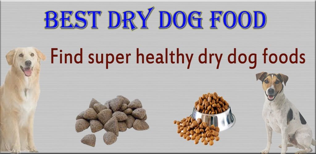 Dry dog food Find super healthy dry foods for your dog.