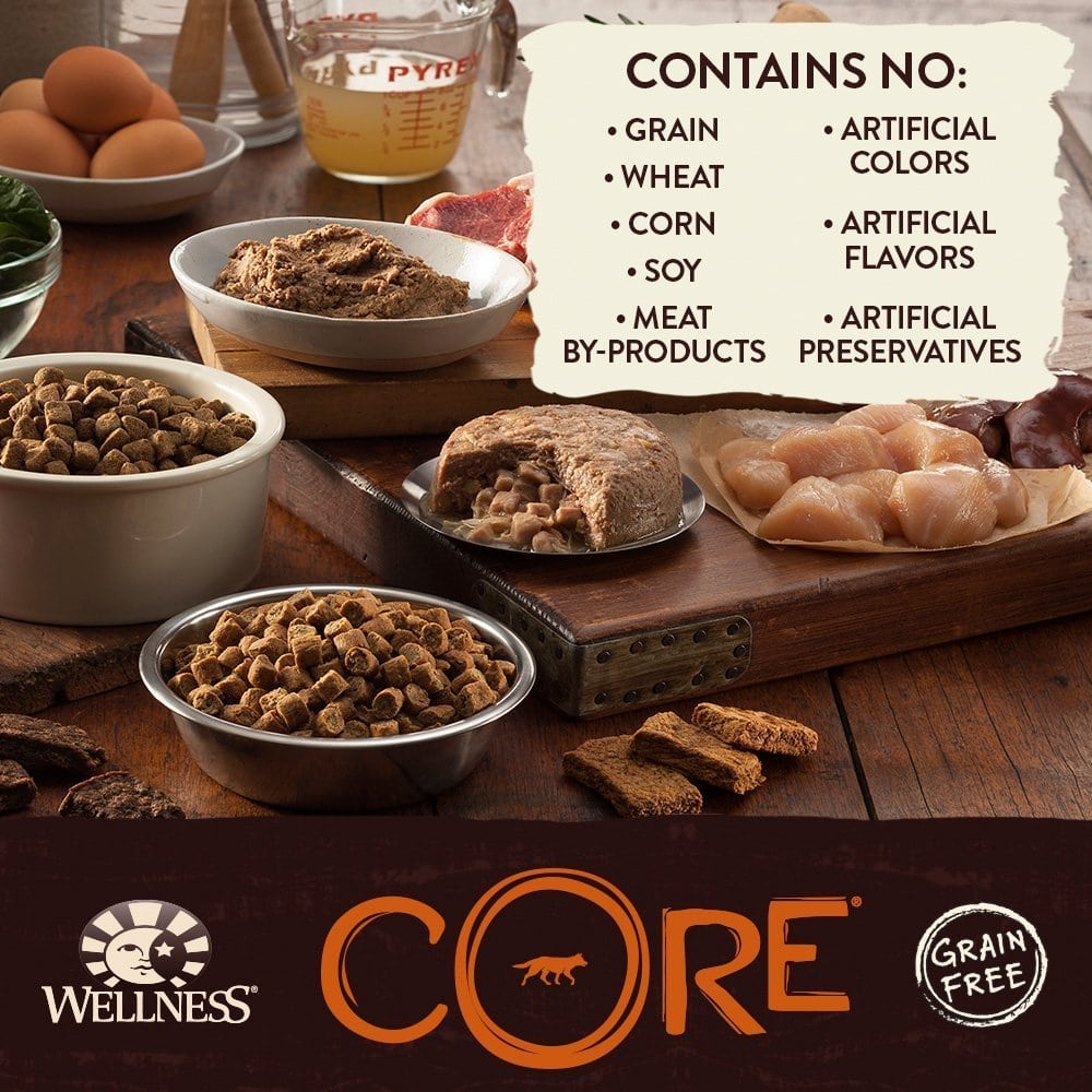 Wellness CORE Natural Grain Free Dry Dog Food At Dogmal