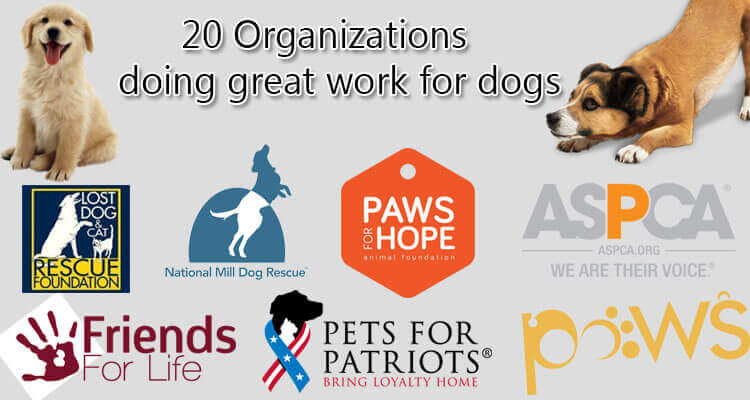 dog Organizations