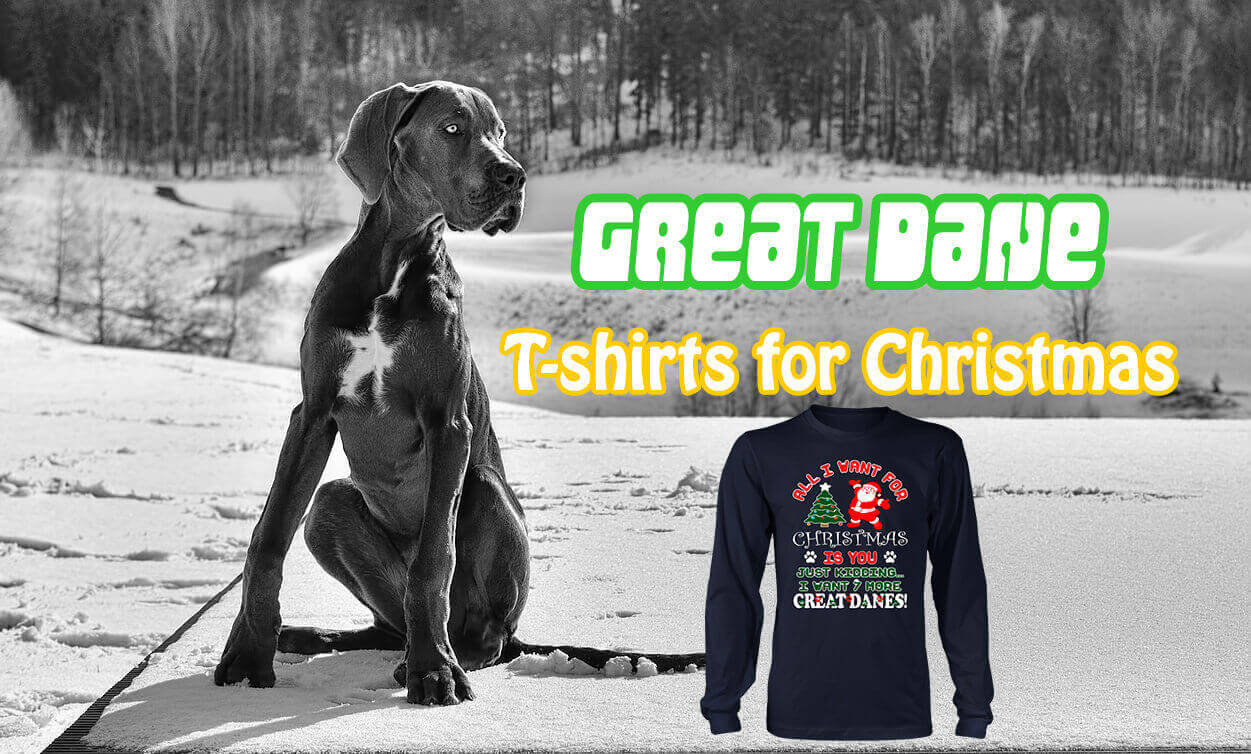 Great Dane T-shirts for Christmas