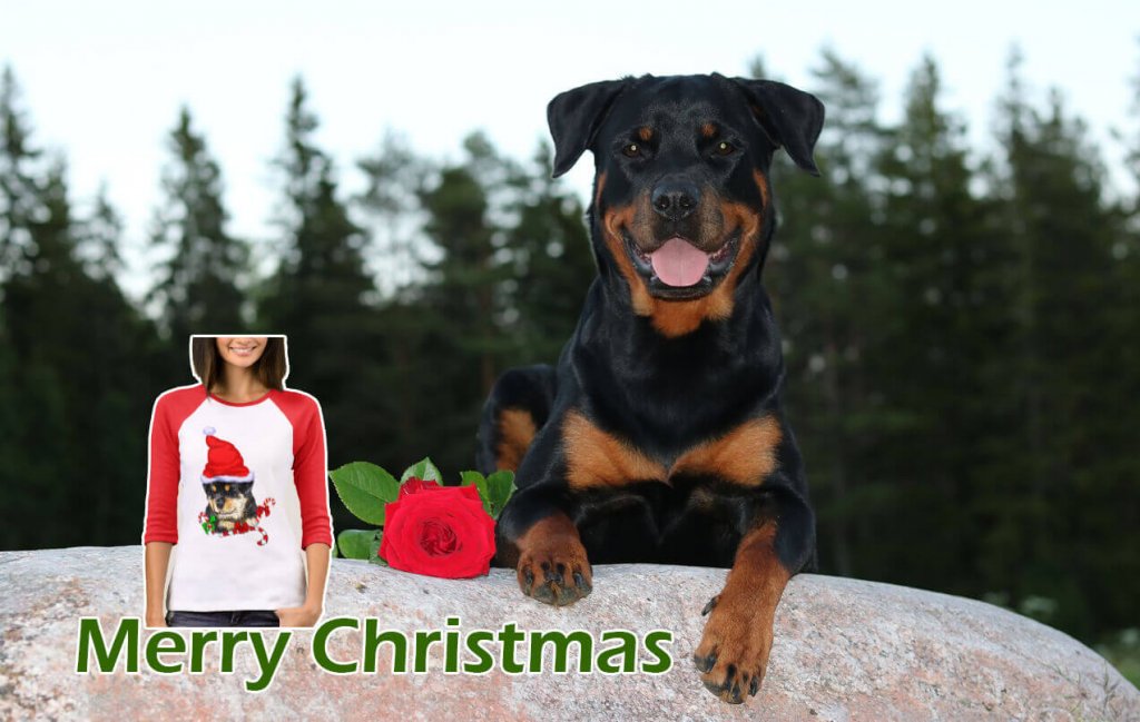 rottweiler christmas t shirt