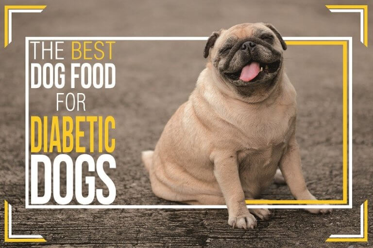 The Best Foods for Diabetic Dogs - By dogmal.com