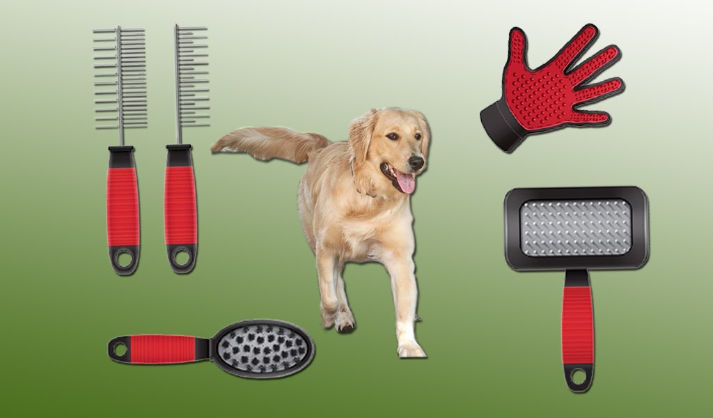 10-easy-to-use-dog-grooming-supplies-for-first-time-owner